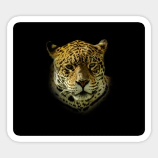 Jaguar portrait Sticker